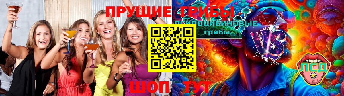 Псилоцибиновые грибы мицелий Тавда