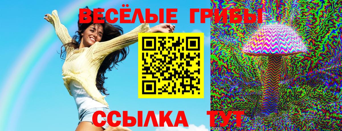 Тавда  Галлюциногенные грибы MAGIC MUSHROOMS  Вход с VPN 